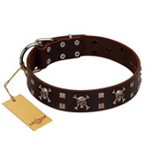 "Menacing Allure" FDT Artisan Brown Leather American Bulldog Collar Embellished with Silvery Crossbones and Square Studs
