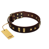 "Choco Delight" FDT Artisan Brown Leather American Bulldog Collar with Old Bronze-like Plates and Studs