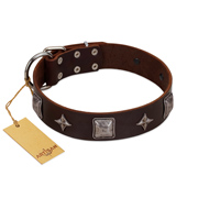 "Cold Star" Designer FDT Artisan Brown Leather American Bulldog Collar with Silver-Like Adornments