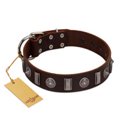 "Spiky Way" FDT Artisan Brown Leather American Bulldog Collar with Silver-Like Decorations