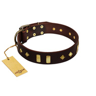 "Blinking Illusion" FDT Artisan Brown Leather American Bulldog Collar with Old Bronze-like Studs and Plates