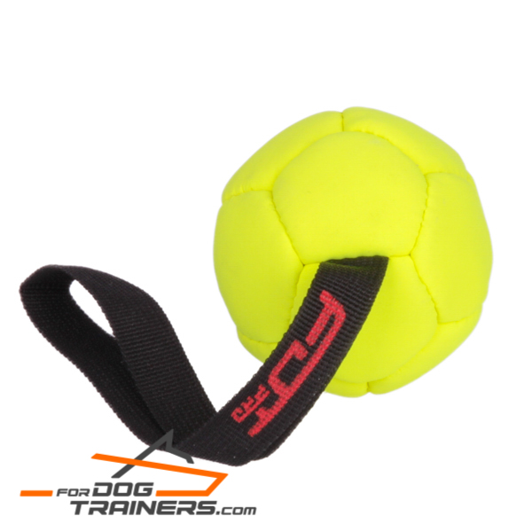 Yellow dog ball for fun