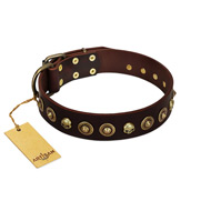 "Street Fashion" FDT Artisan Brown Leather American Bulldog Collar Adorned with Circles and Skulls