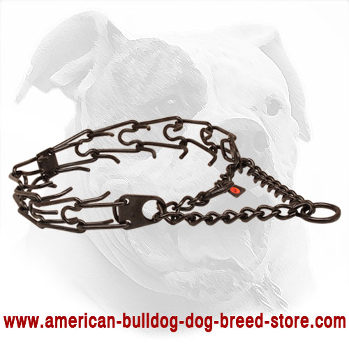 Black Prong Dog Collar of Stainless Steel