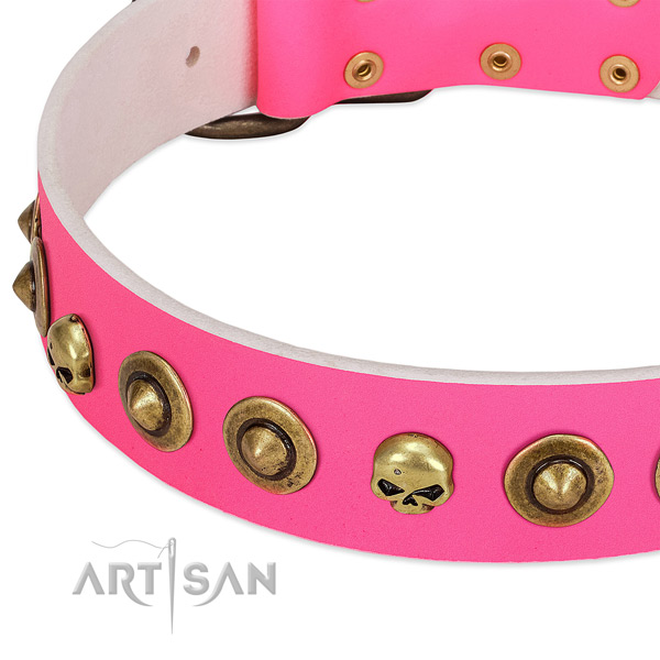 Extraordinary adornments on full grain natural leather collar for your canine