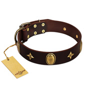 "Victory and Laurels" FDT Artisan Brown Leather American Bulldog Collar with Ovals and Stars