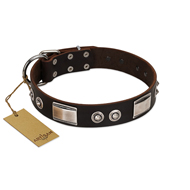 "Baller Status" FDT Artisan Brown Leather American Bulldog Collar Adorned with a Set of Chrome Plated Studs and Plates