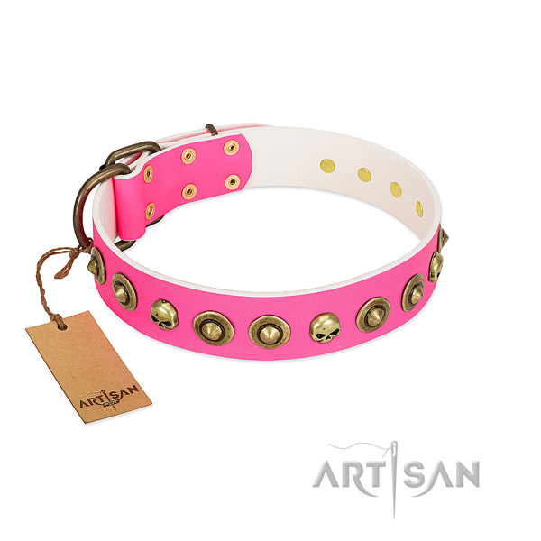 Exceptional full grain leather dog collar with strong adornments