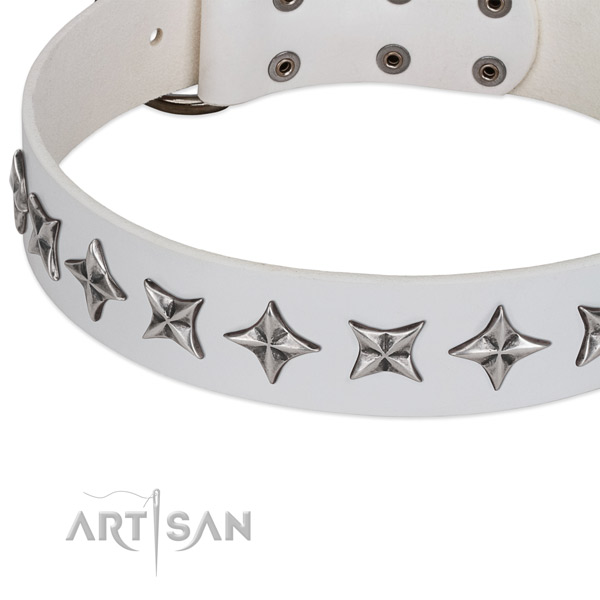 Everyday walking studded dog collar of durable genuine leather