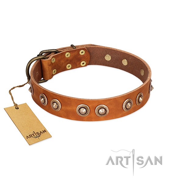 Reliable D-ring on genuine leather dog collar for your pet