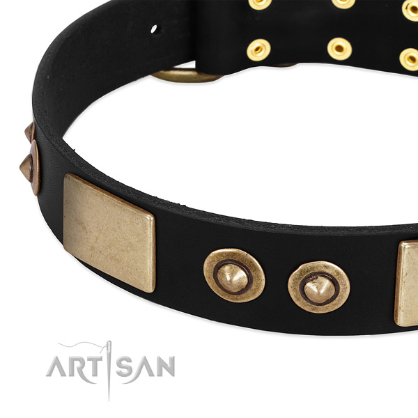 Corrosion resistant buckle on genuine leather dog collar for your doggie