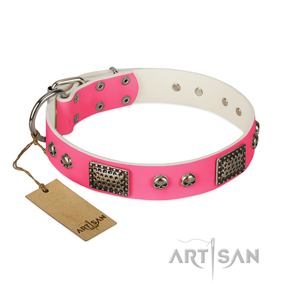 Easy to adjust natural leather dog collar for daily walking your dog