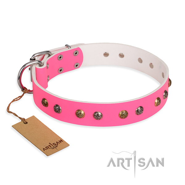 Basic training fine quality dog collar with durable hardware