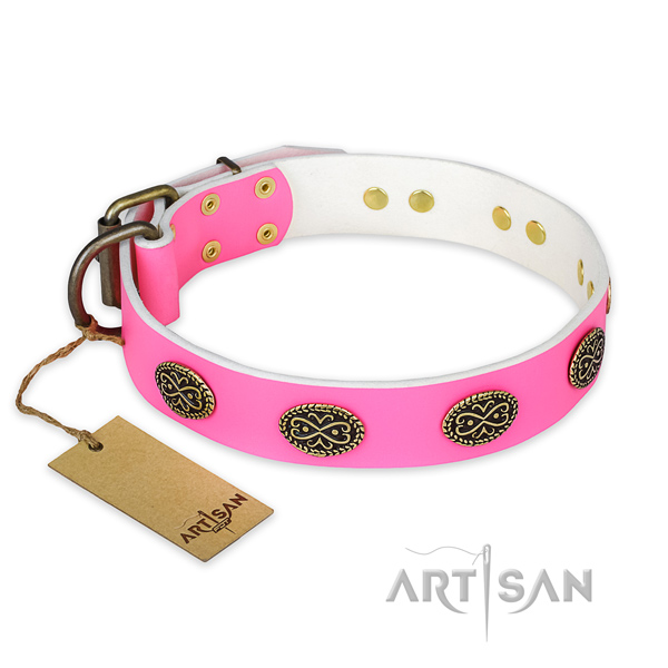 Incredible leather dog collar for daily use