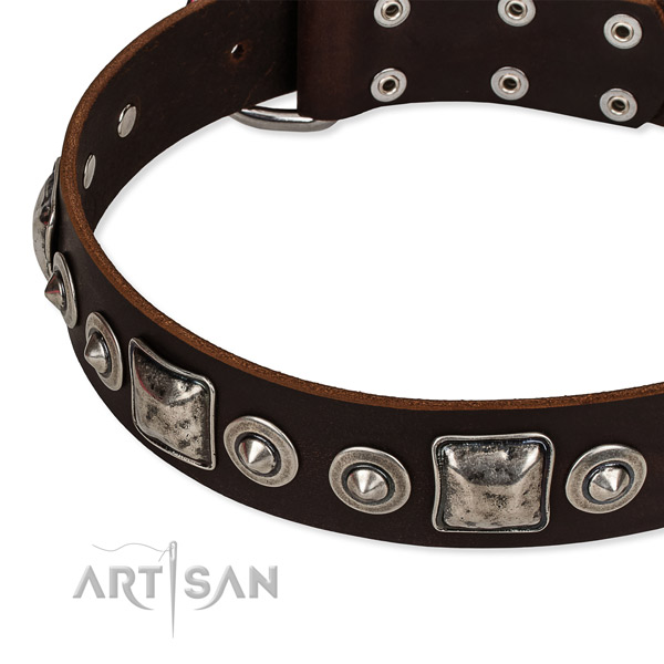 Full grain natural leather dog collar made of gentle to touch material with decorations