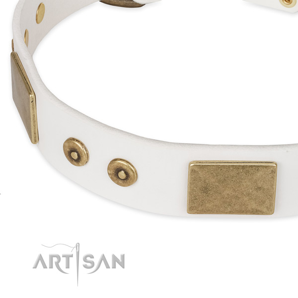 Reliable studs on full grain leather dog collar for your dog