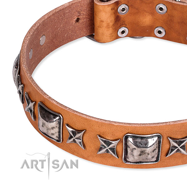 Comfortable wearing adorned dog collar of reliable full grain genuine leather