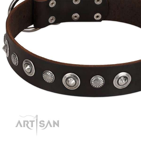 Incredible studded dog collar of quality full grain leather