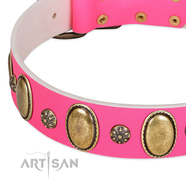 Quality leather dog collar with reliable fittings