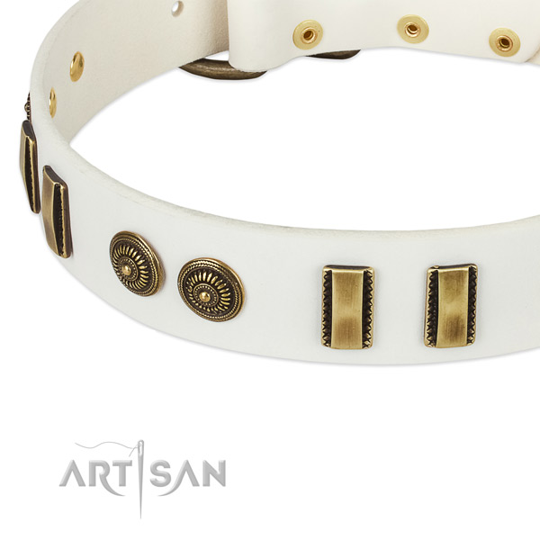 Rust-proof traditional buckle on natural leather dog collar for your canine