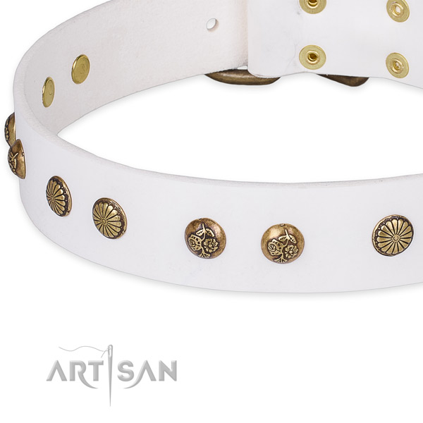 Full grain natural leather collar with strong fittings for your attractive dog