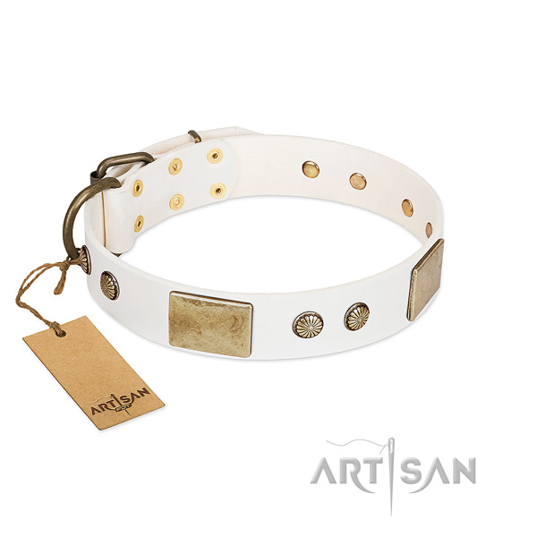Easy wearing full grain genuine leather dog collar for stylish walking your four-legged friend