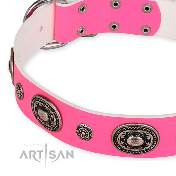 Natural genuine leather dog collar with stunning durable studs
