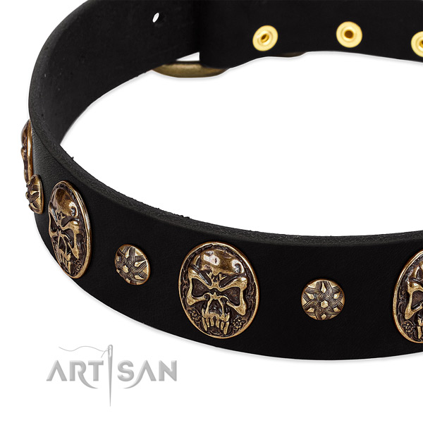 Reliable traditional buckle on genuine leather dog collar for your canine