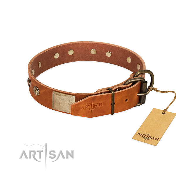 Strong adornments on easy wearing dog collar
