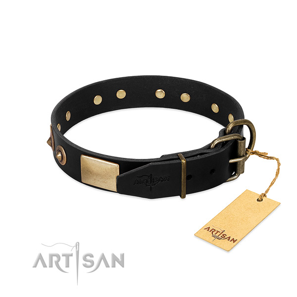 Corrosion resistant adornments on everyday walking dog collar