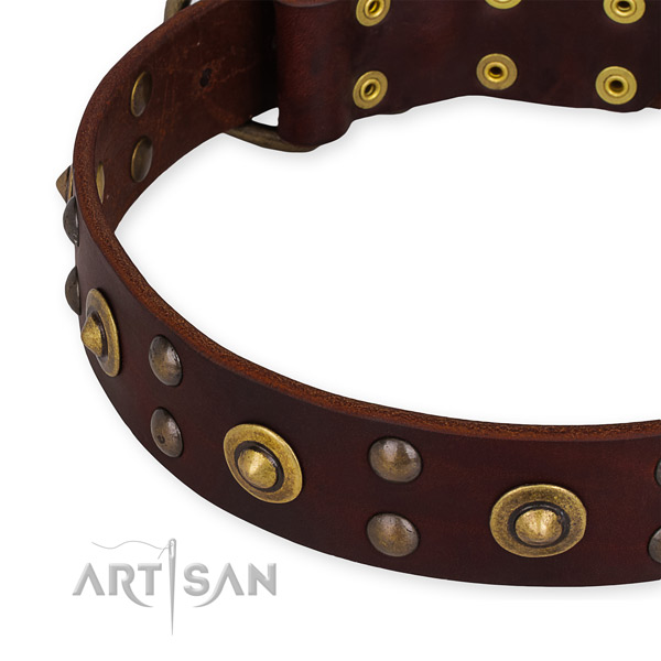 Genuine leather collar with rust-proof buckle for your stylish doggie