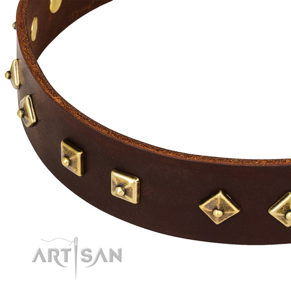 Designer full grain leather collar for your stylish pet