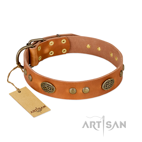 Reliable studs on genuine leather dog collar for your four-legged friend