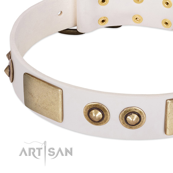Corrosion proof traditional buckle on full grain leather dog collar for your pet