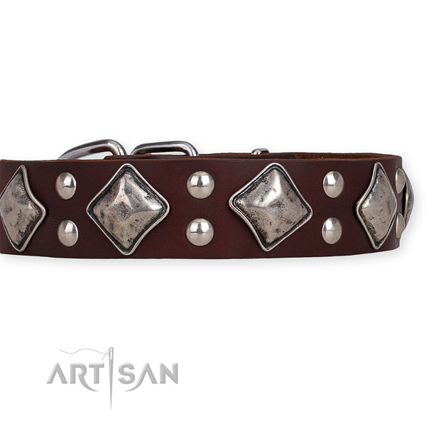 Natural leather dog collar with significant strong studs