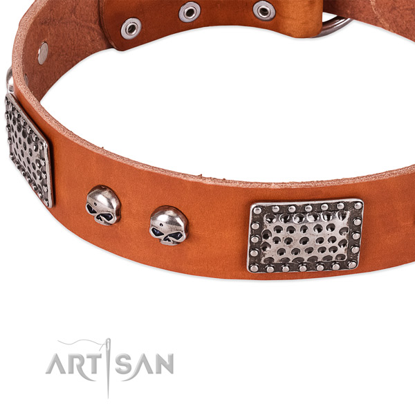 Durable embellishments on leather dog collar for your doggie