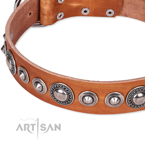 Everyday walking embellished dog collar of reliable full grain leather