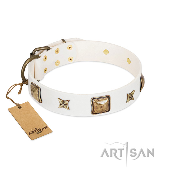 Fashionable leather dog collar for basic training