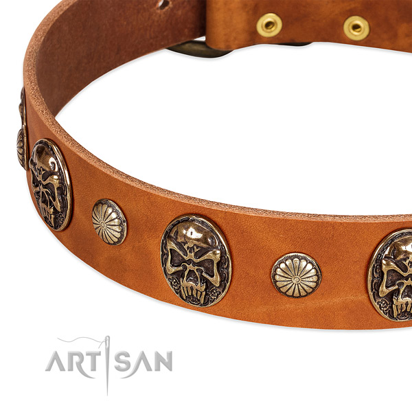 Reliable decorations on full grain genuine leather dog collar for your doggie