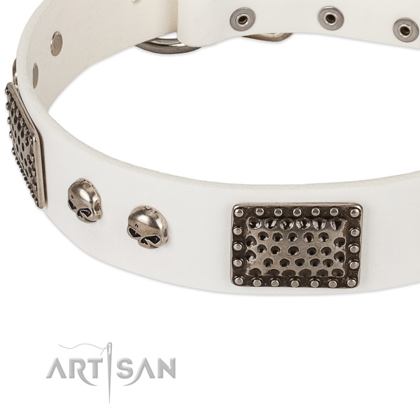 Rust resistant traditional buckle on full grain natural leather dog collar for your four-legged friend