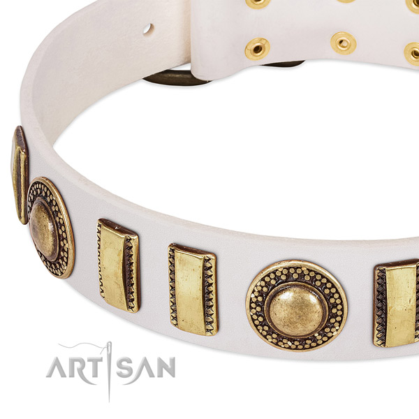 Top rate full grain leather dog collar with strong buckle