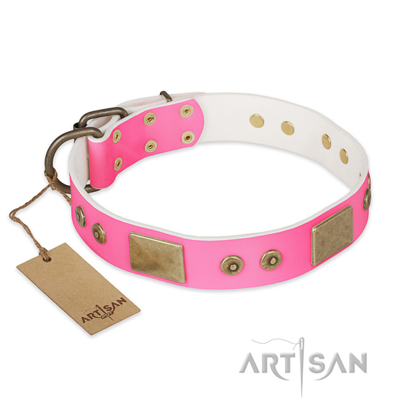 Adjustable natural genuine leather dog collar for everyday walking your doggie