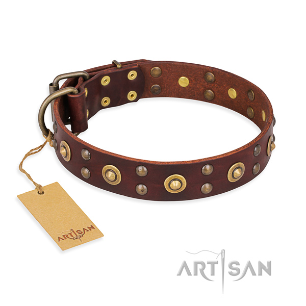 Adorned genuine leather dog collar with corrosion resistant buckle