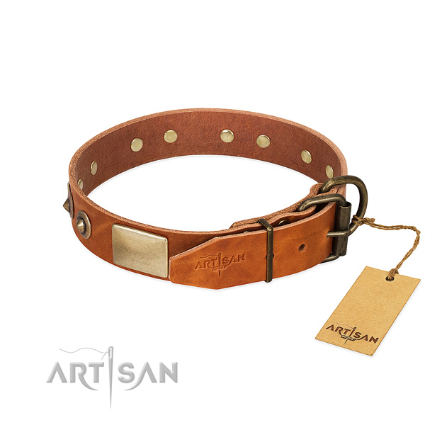 Durable buckle on everyday walking dog collar
