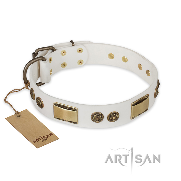 Designer natural genuine leather dog collar for walking