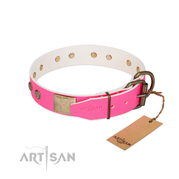 Corrosion proof embellishments on stylish walking dog collar
