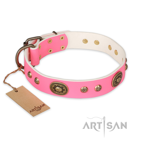 Inimitable genuine leather dog collar for daily use