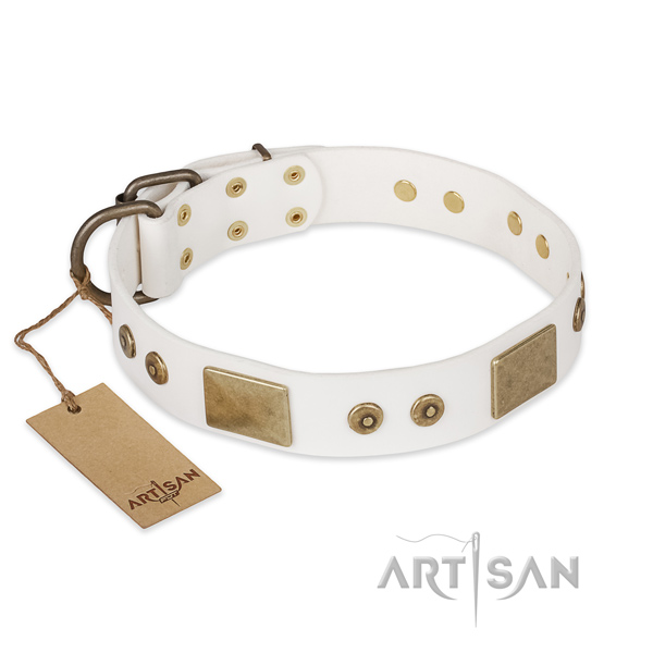 Top notch leather dog collar for walking