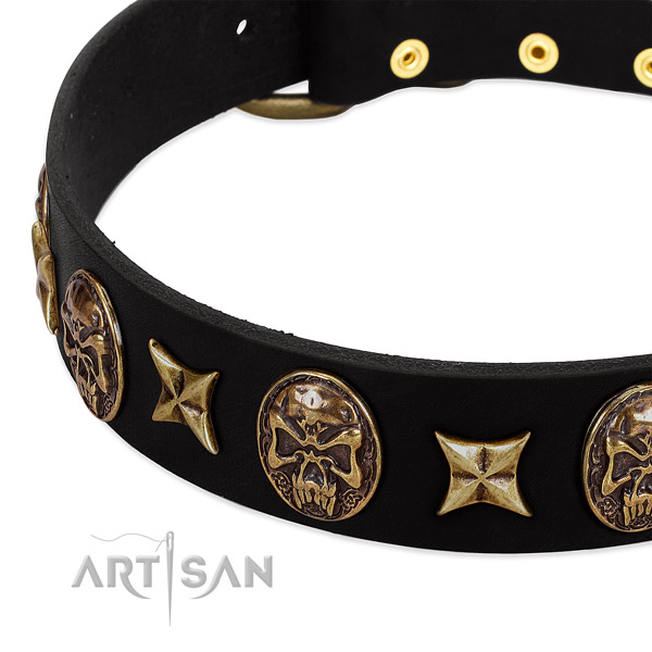 Rust-proof fittings on leather dog collar for your four-legged friend