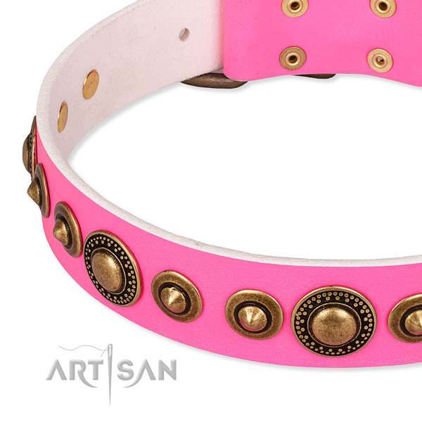 Top rate genuine leather dog collar created for your stylish pet